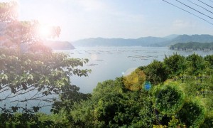 information_ph001
