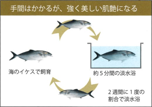 手間をかけたキメ細やかな発送