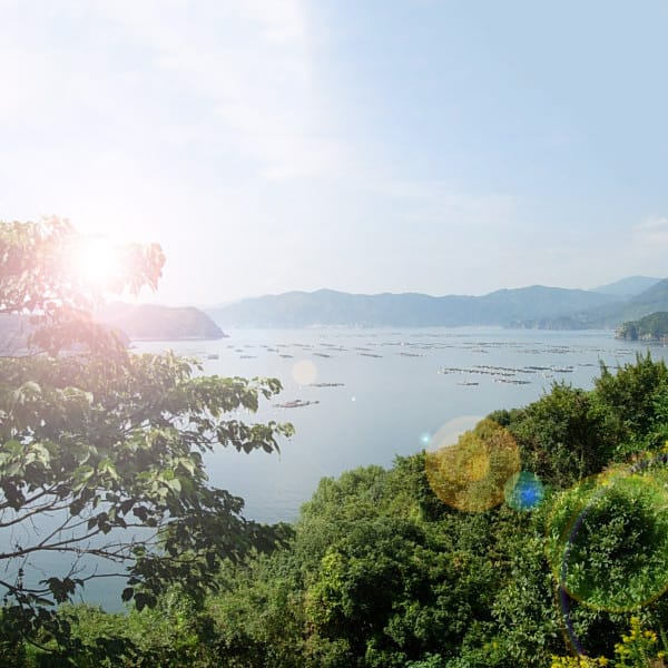 野見湾の景色