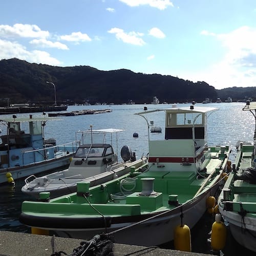 野見湾の景色